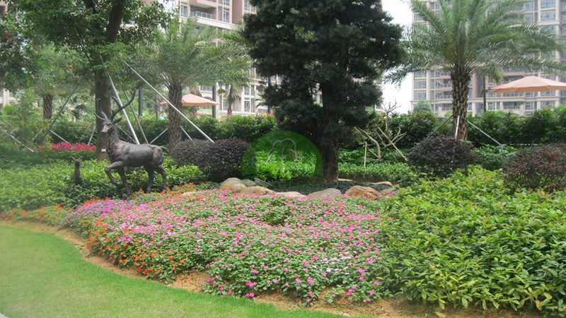 苗木种植报价单，这些注意事项你了解吗？**