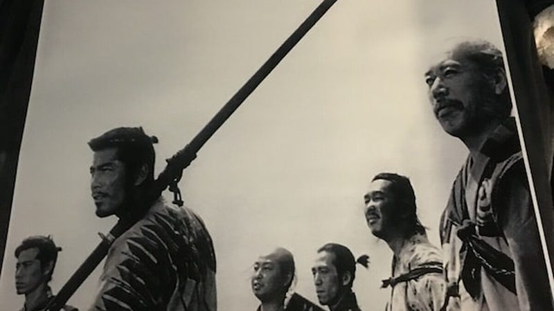 绿植租摆报价，如何做到精准合理？**