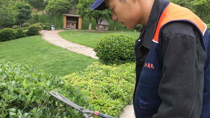 厂区绿化工程报价方案：解析关键要素与合理评估**