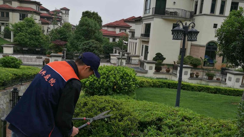 景观小品材质对比：如何选择合适的设计元素**