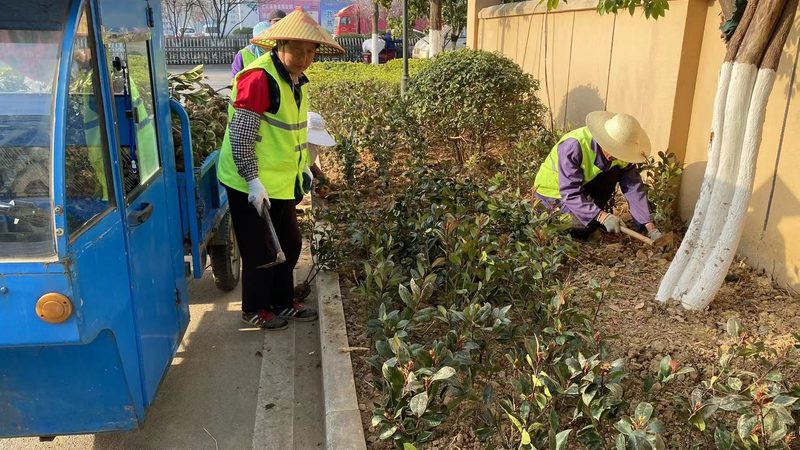 绿化养护工证和绿化工证区别