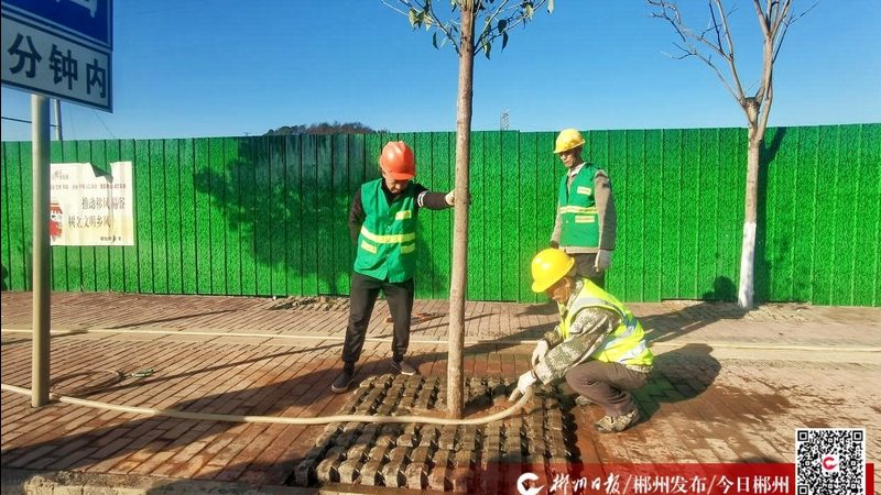小别墅花园设计，从规划到成型的关键步骤**