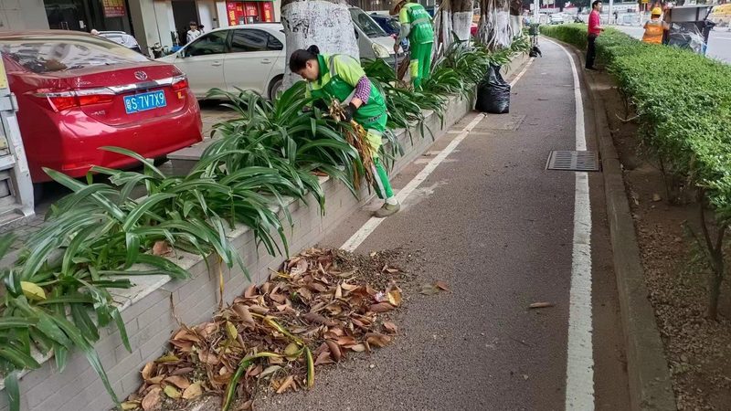 小区绿化草坪施工步骤全解析