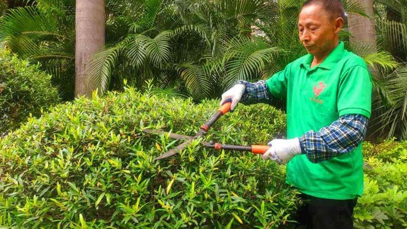 边坡绿化材料定制加工：因地制宜，打造生态美景**