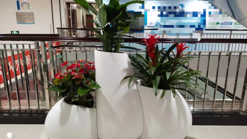 选择花卉租摆公司时，首先要关注其资质与实力。一家专业公司应具备以下条件：