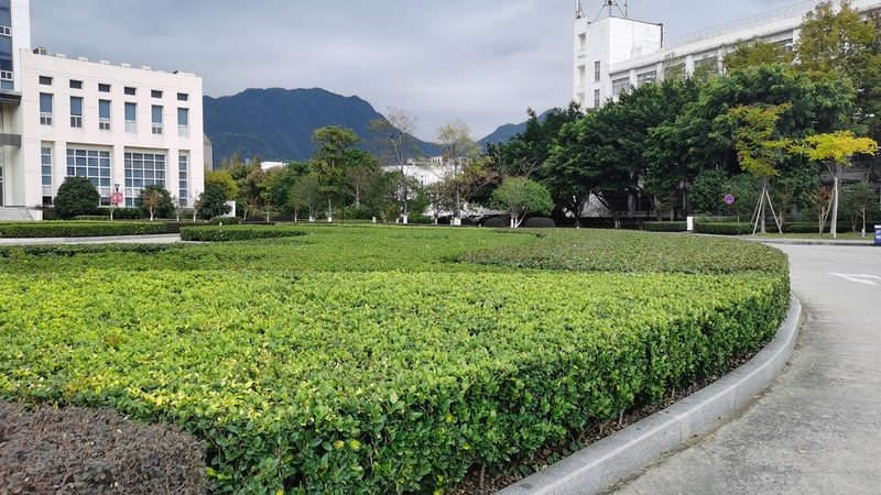 道路绿化工程验收，武汉市场有本自己的账