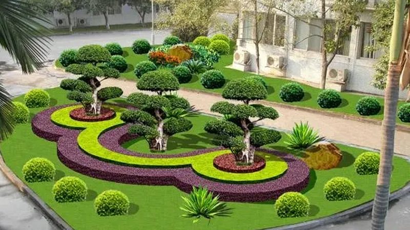 苗木种植技术视频教程：从选苗到养护的完整步骤详解