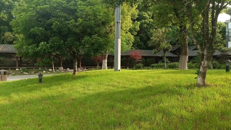 边坡绿化客土喷播：技术解析与选择要点**