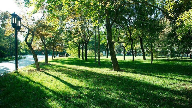 绿化竣工图审查要点：规范流程与质量把控